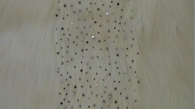 collection 4 cut steel+strass spread on white fox